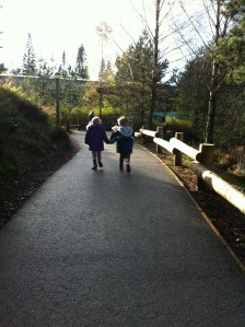 Children holding hands as they walk along a path